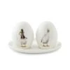 'Not A Daisy Goes By' Duck Salt And Pepper Pots With Tray -Home Furnishing Store 749151793521