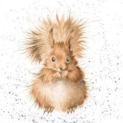 'Redhead' Squirrel Print