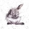 'Bathtime' Rabbit Print -Home Furnishing Store P068