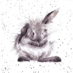'Bathtime' Rabbit Print