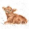 'Wee Hamish' Highland Cow Print -Home Furnishing Store P083