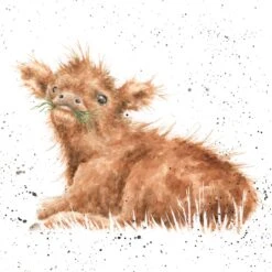 'Wee Hamish' Highland Cow Print