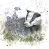 'The Bluebell Wood' Badger Print