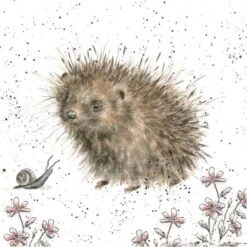 'A Prickly Encounter' Hedgehog Print