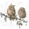 'The Twits' Owl Print -Home Furnishing Store P097