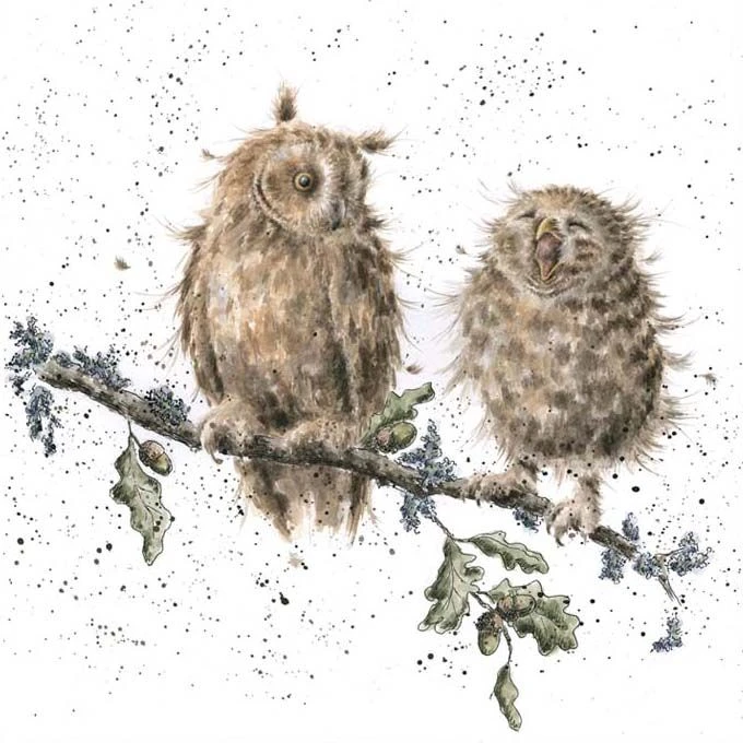 'The Twits' Owl Print 3 'The Twits' Owl Print