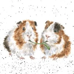 'Lettuce Be Friends' Guinea Pig Print