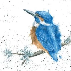 'King Of The River' Kingfisher Print