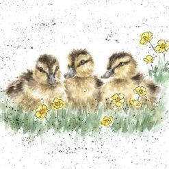 'Buttercup' Duckling Print