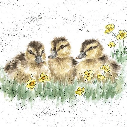 'Buttercup' Duckling Print 3 'Buttercup' Duckling Print