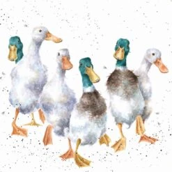 'Quackers' Duck Print