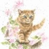 'The Marmalade Cat' Cat Print -Home Furnishing Store P128