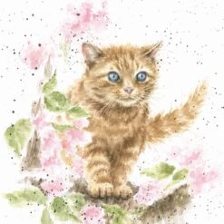 'The Marmalade Cat' Cat Print