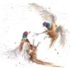 'The Winner Takes It All' Pheasant Print 1 'The Winner Takes It All' Pheasant Print -Home Furnishing Store P143