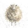 'The Woolly Jumper' Sheep Print 2 'The Woolly Jumper' Sheep Print -Home Furnishing Store P147