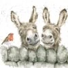 'Hee Haw' Donkey Print -Home Furnishing Store P155