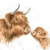 'Gentle One' Highland Cow Print 2 'Gentle One' Highland Cow Print -Home Furnishing Store P156