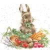 'Grow Your Own' Rabbit Print 1 'Grow Your Own' Rabbit Print -Home Furnishing Store P157