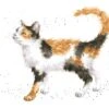 'Calico Cat' Cat Print 2 'Calico Cat' Cat Print -Home Furnishing Store P161