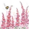 'A Cottage Garden' Bee Print 2 'A Cottage Garden' Bee Print -Home Furnishing Store P164