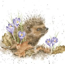 'New Beginnings' Hedgehog Print