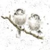'Lovebirds' Bird Print -Home Furnishing Store POC011