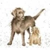 'Puppy Love' Labrador Print -Home Furnishing Store POC030
