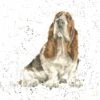 'Cake?' Basset Hound Print