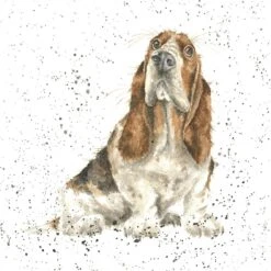 'Cake?' Basset Hound Print