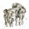 'Packed Your Trunks' Elephant Print -Home Furnishing Store POC080