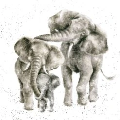 'Packed Your Trunks' Elephant Print