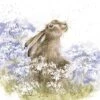 'Here For You' Hare Print -Home Furnishing Store POC082