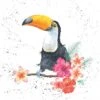 'Toucan Of My Affection' Toucan Print -Home Furnishing Store PZ018