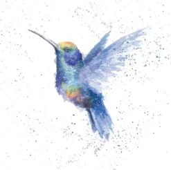 'Rainbow' Humming Bird Print