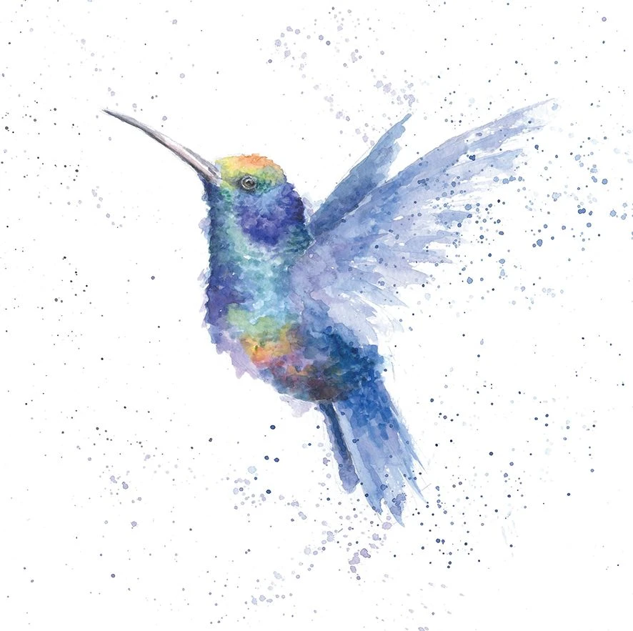 'Rainbow' Humming Bird Print 3 'Rainbow' Humming Bird Print