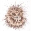 'Awakening' Hedgehog Cross Stitch