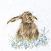'Bright Eyes' Hare Cross Stitch