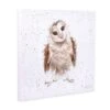 'Curiouser And Curiouser' Owl Canvas Print -Home Furnishing Store canm cs018