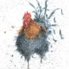 'Hello Ladies' Ltd Print -Home Furnishing Store cockerel for web