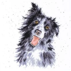 'Jess' Collie Cross Stitch
