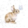 'I Spy A Butterfly' Rabbit Print -Home Furnishing Store conf223