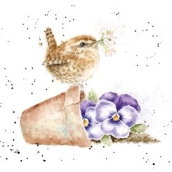 'Pottering About' Wren Print