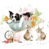 'Sleeping On The Job' Collie And Rabbit Print -Home Furnishing Store conf230