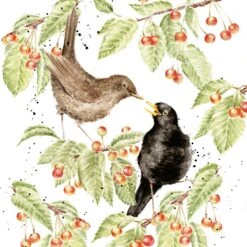 'The Cherry Tree' Blackbird Print