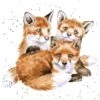 'Snug As A Cub' Fox Print
