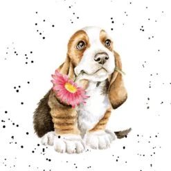 'Just For You' Basset Hound Print