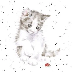 'Ladybird' Cat Print