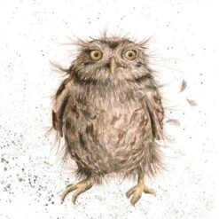 'What A Hoot' Owl Print