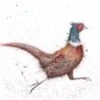 'Game Bird' Pheasant Print 2 'Game Bird' Pheasant Print -Home Furnishing Store cs013