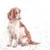 'Loyal Friend' Dog Print -Home Furnishing Store cs014 1
